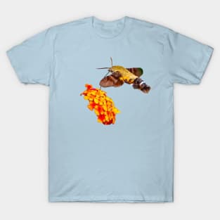 Hummingbird Hawk moth T-Shirt